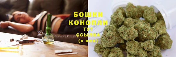 шишки Алексеевка