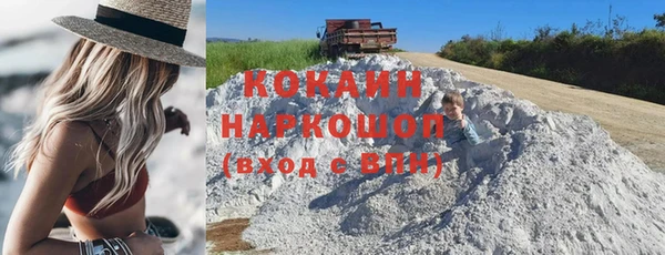 шишки Алексеевка