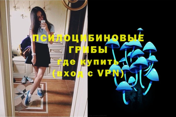 шишки Алексеевка