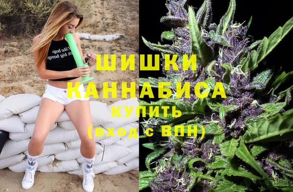 сатива Алзамай