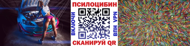 Галлюциногенные грибы мицелий  что такое   Избербаш 