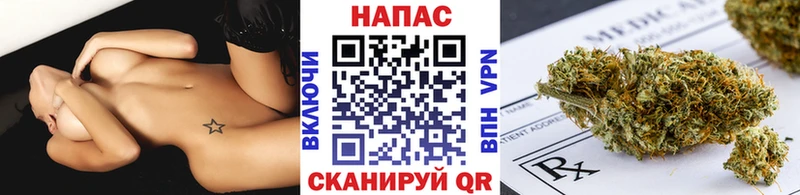 Бошки Шишки планчик Избербаш